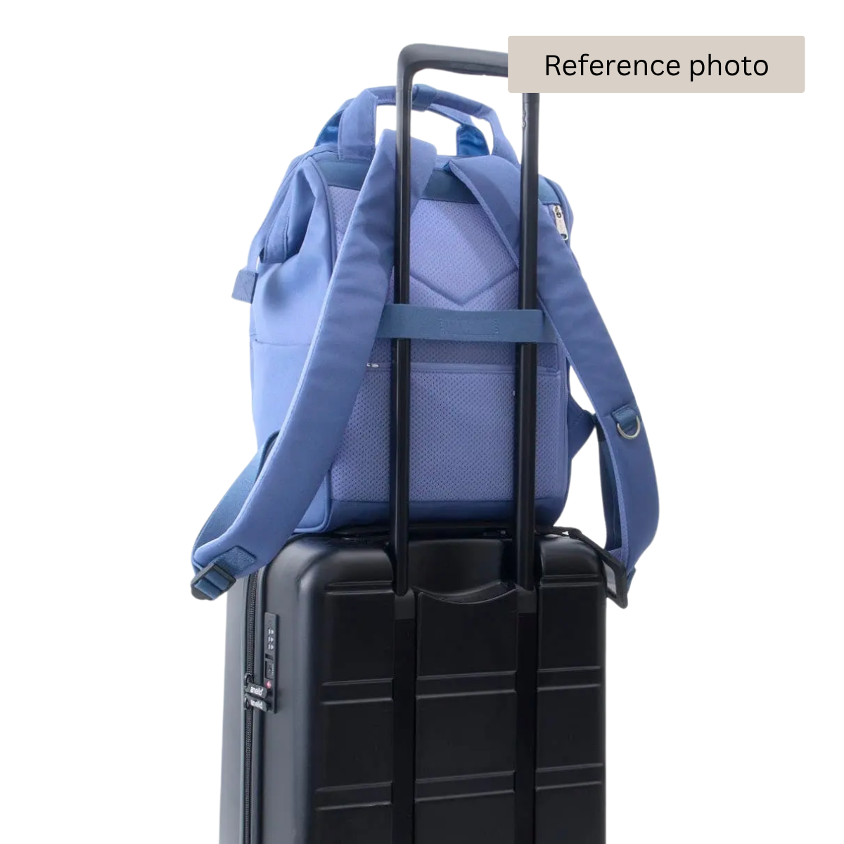 Anello Cross Bottle Backpack Regular