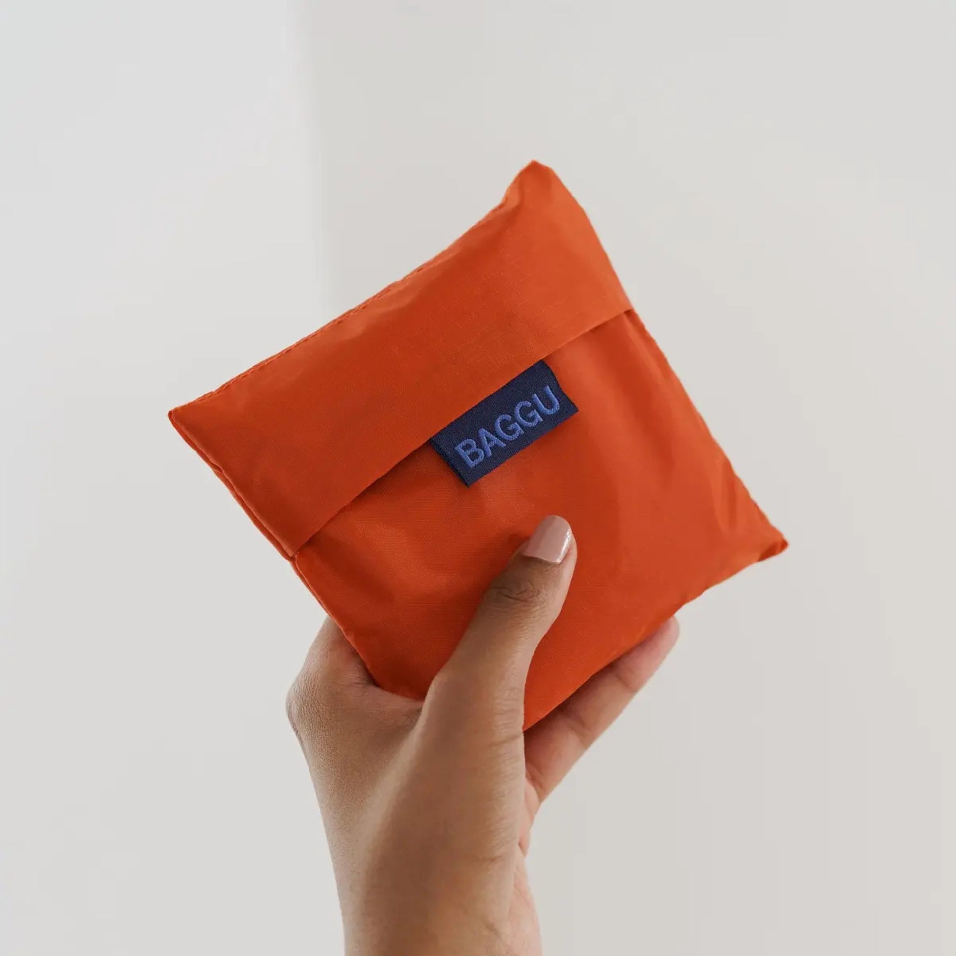 Sac standard Baggu 