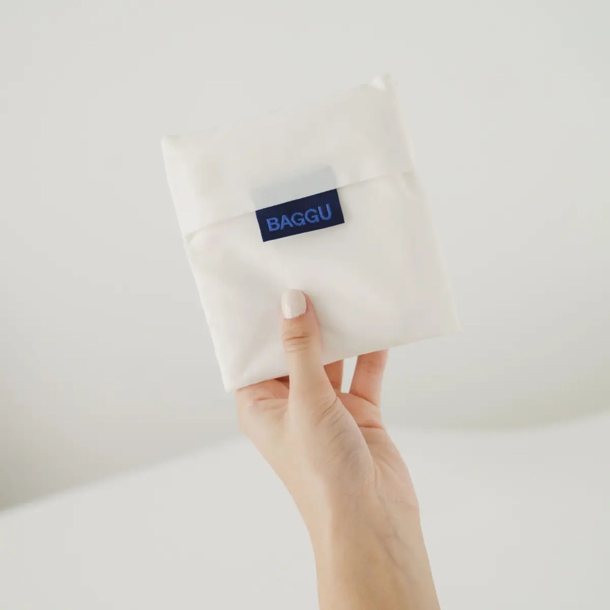 Sac standard Baggu 